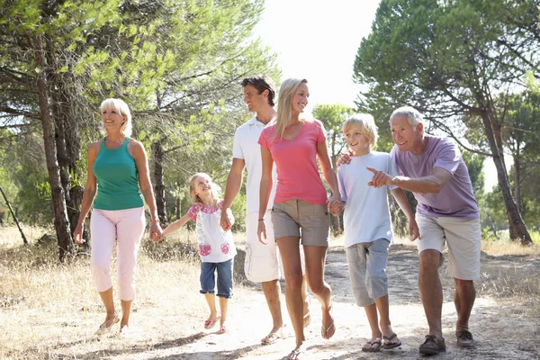A family, with parents, children and grandparents, walk through