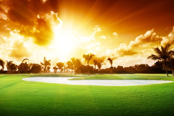 Sunset on golf field