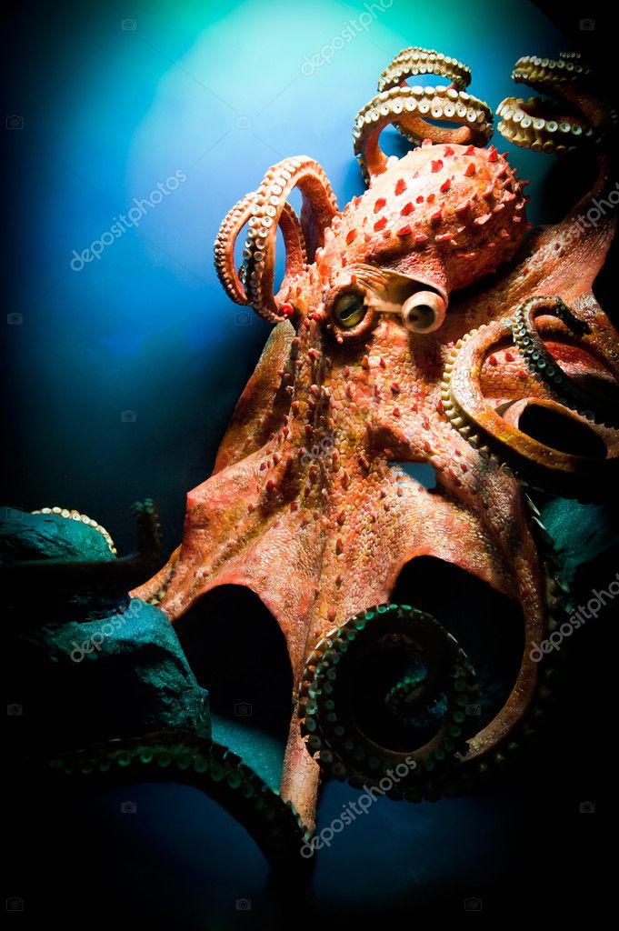 giant angry happy octopus