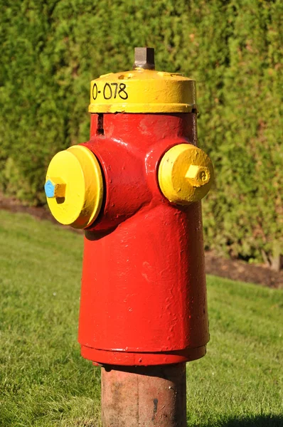 Close-up fire hydrant