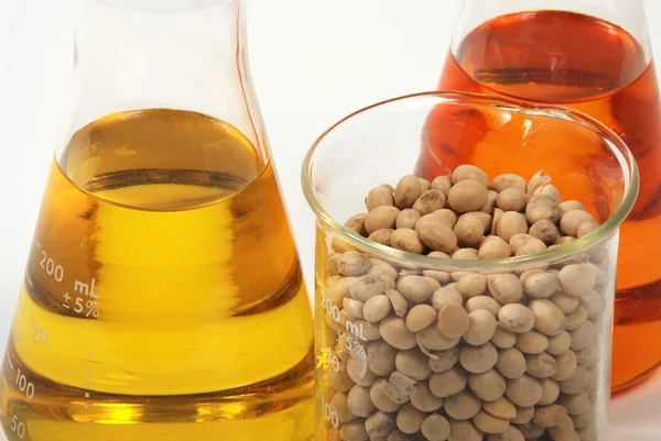 Ethanol oil and fuel produce by soy seeds