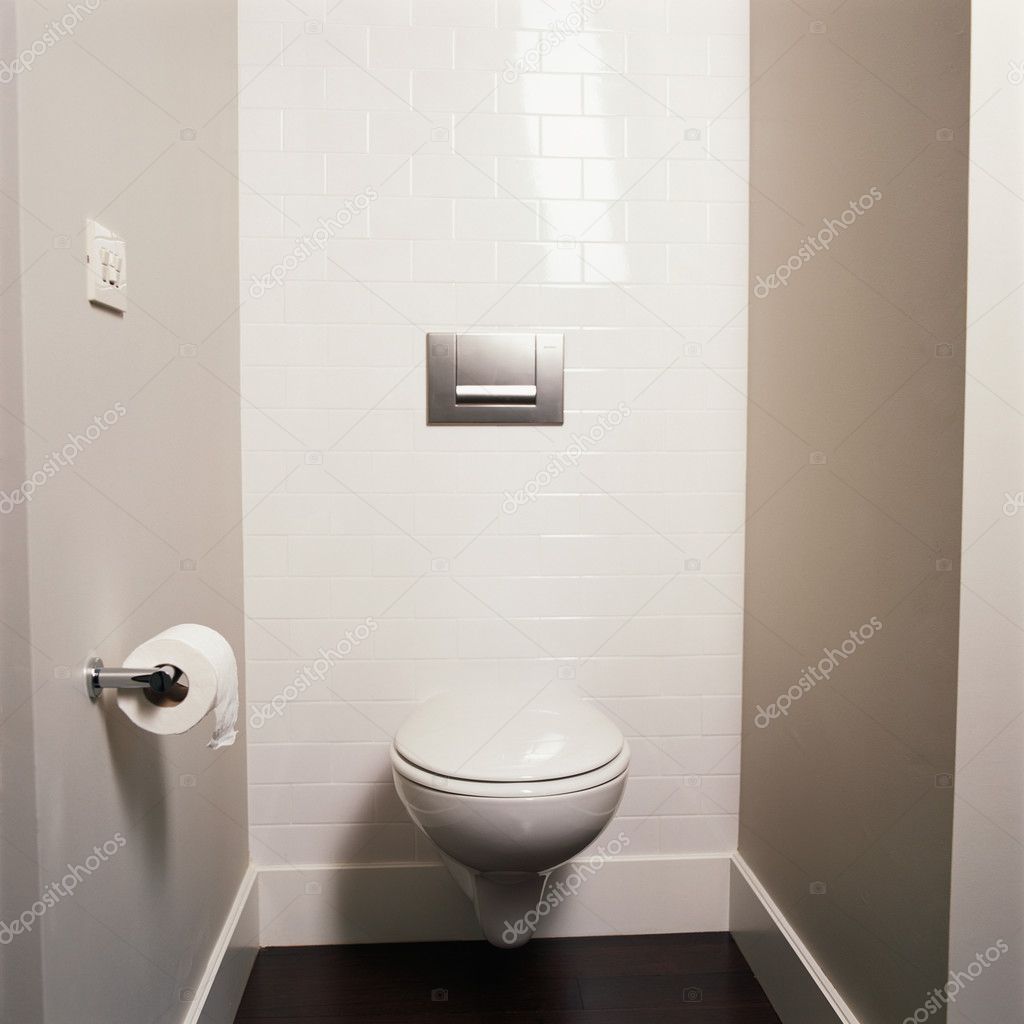 Toilet View