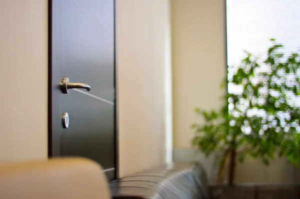 Wenge door with a metal handle in the office close up