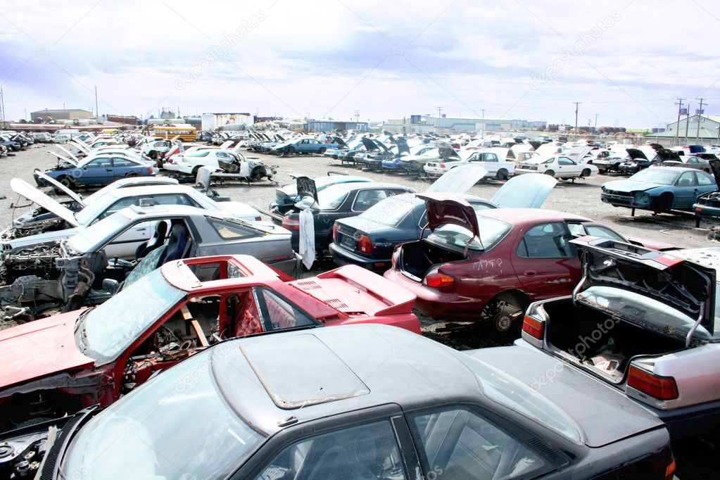 An auto junkyard filled with