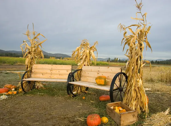 Corn stalks and benches.
