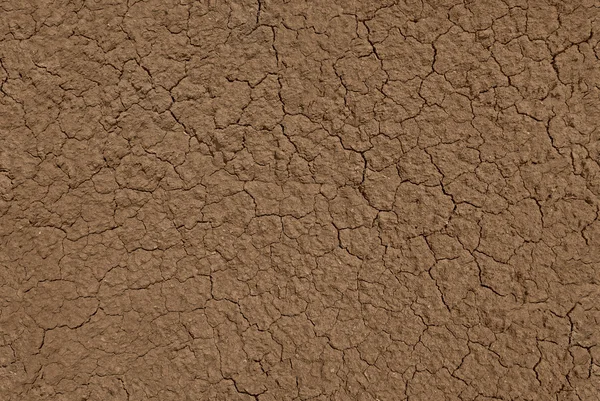 Seamless texture of soil — Stock Photo #4916879