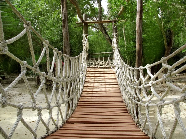 Adventure wooden rope jungle suspension bridge | Stock Photo © TONO 