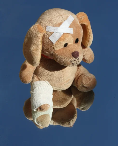 Sad Plush dog with broken leg