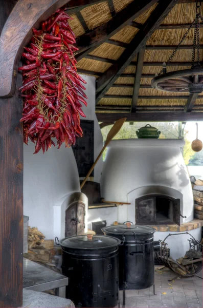 Traditionele hongaarse landelijke keuken — stockfoto © mahroch ...
