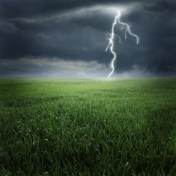 Storm and lightning on the green field