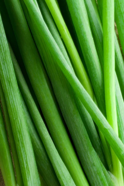 stock image Spring onions