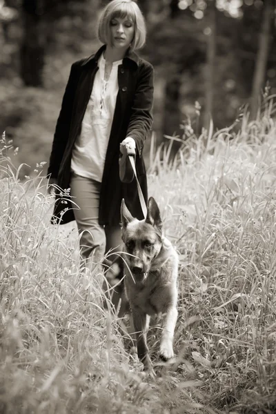 Spaziergang mit dem Hund — Stockfoto