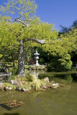 Japon bahçe gölet ile