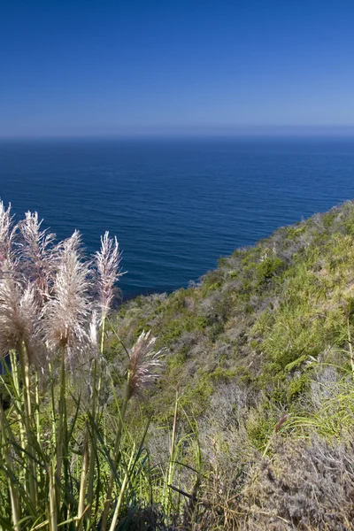 Atemberaubender Blick Auf Die Küste Pazifikküste Kaliforniens Usa — Stockfoto