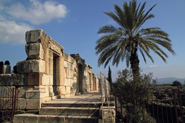 "Jesus Sinagoga "ruínas em Cafarnaum, Israel — Fotografia de Stock