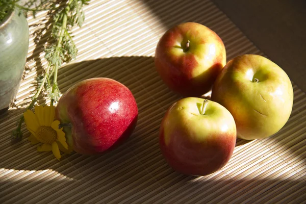 Still Life with apples,shadows and sunlight — Stock Photo, Image