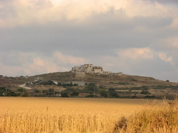 Campo dourado de trigo com ruínas de fortaleza — Fotografia de Stock