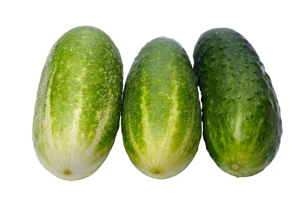 Cucumbers, isolated — Stock Photo, Image