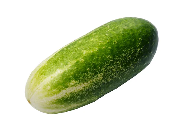 Cucumber, isolated — Stock Photo, Image