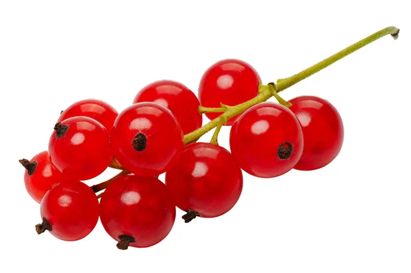 Красная смородина ягоды, изолированные на белом фоне — стоковое фото
