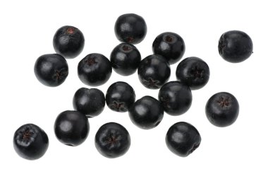 Chokeberry