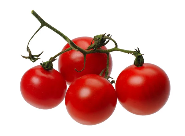 Červená tomatto, izolované — Stock fotografie