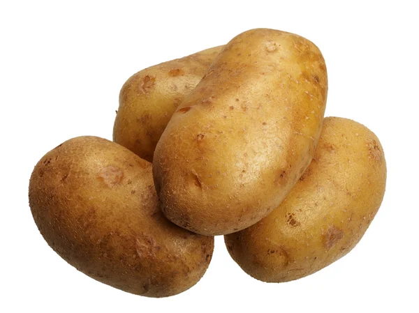 Aardappelen, geïsoleerd — Stockfoto