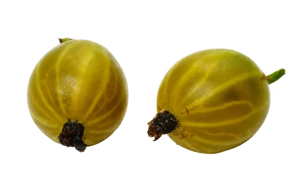 グーズベリーは 白い背景で隔離の二つの果実 — ストック写真