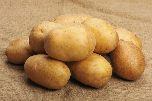 Verschillende Bruin Aardappelen Ligt Een Plundering — Stockfoto