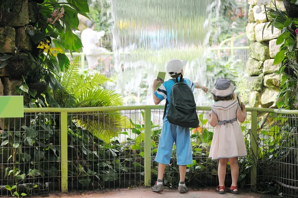 stock image Boy and girl in front of the park of orchids.