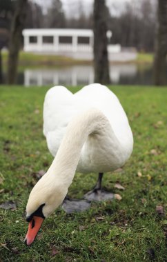 Kasım ayında Şehir Parkı