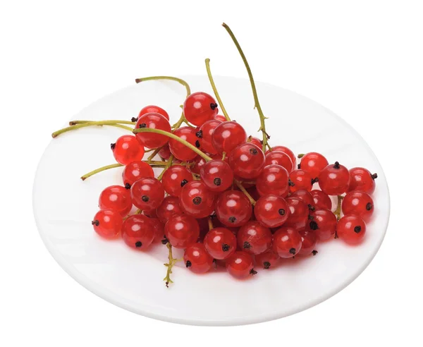 Branch Berries Red Currants Isolated White Background — Stock Photo, Image