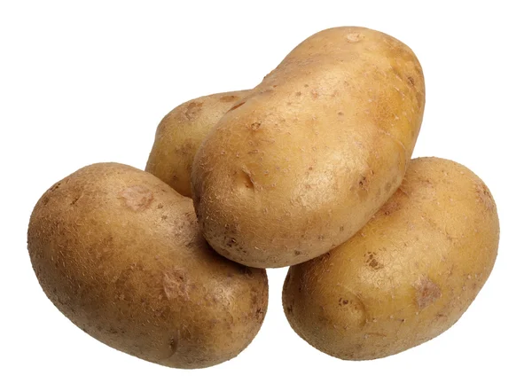 Aardappelen, geïsoleerd — Stockfoto