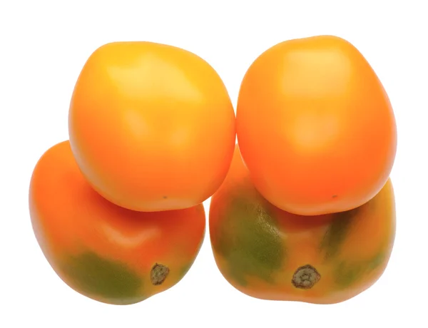 Flerfargede tomater, isolerte – stockfoto