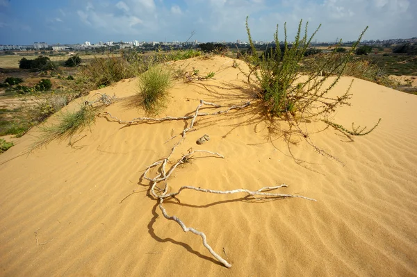 Tle piasku — Zdjęcie stockowe