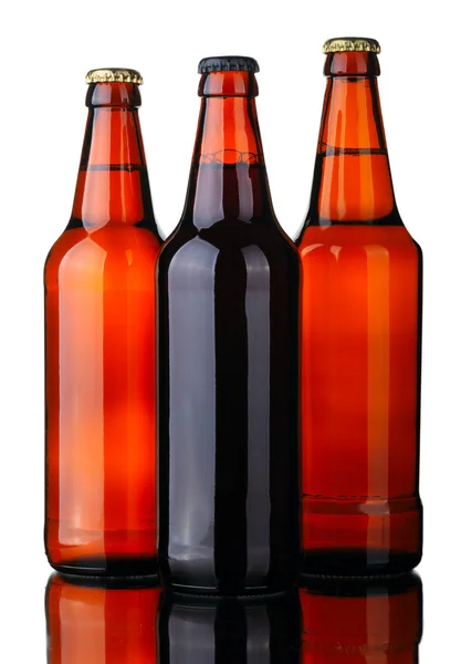 Tree bottles of beer — Stock Photo, Image