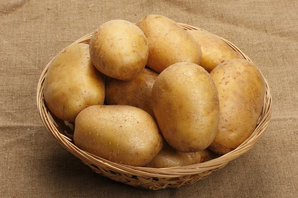 Aardappelen op een plundering — Stockfoto