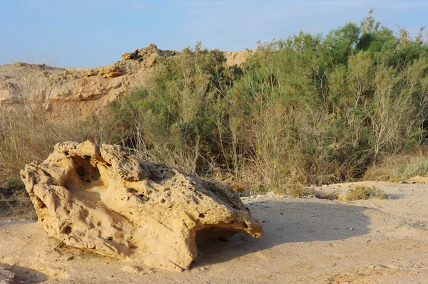 Aravská poušť v prvních slunečních paprscích — Stock fotografie
