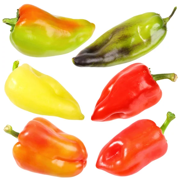 Conjunto de seis pimentas frescas doces — Fotografia de Stock