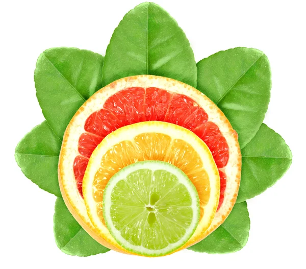 Krzyż owoców cytrusowych na zielony liść — Zdjęcie stockowe