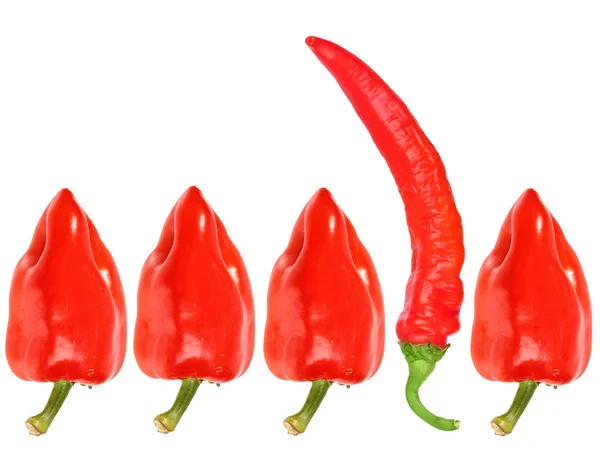 Gruppo di peperoni rossi freschi — Foto Stock