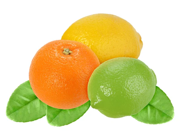 Ovoce pomeranče, citronu a limetky s zelený list — Stock fotografie