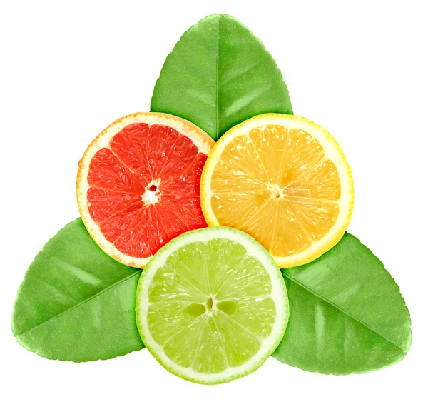 Set van drie cross een citrusvruchten op groen blad — Stockfoto