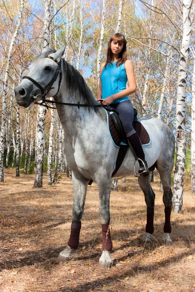 Κορίτσι πάνω σε άλογο — Φωτογραφία Αρχείου