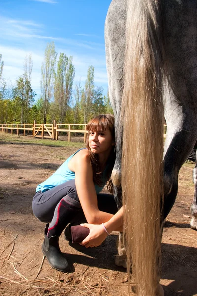 Lány a lovon — Stock Fotó