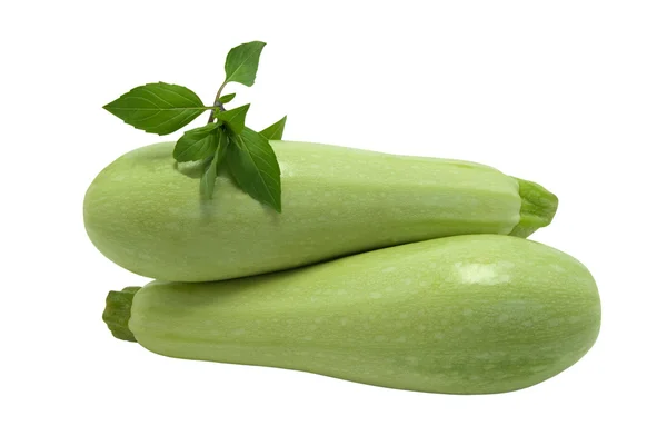 Två zucchini med basilika — Stockfoto
