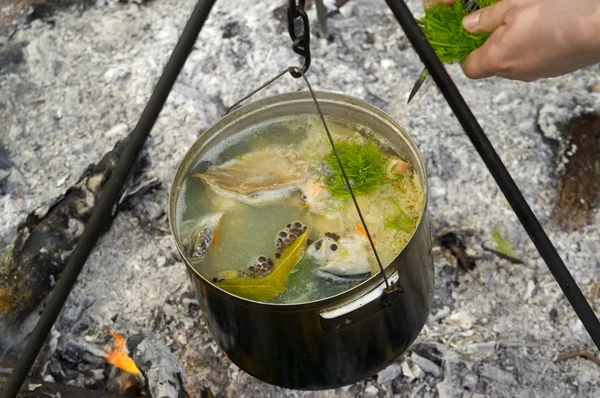 煮鱼汤在火上 — 图库照片