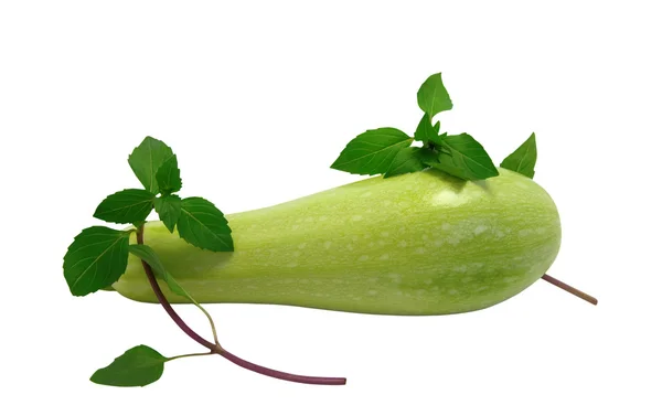 Zucchini mit Basilikum — Stockfoto