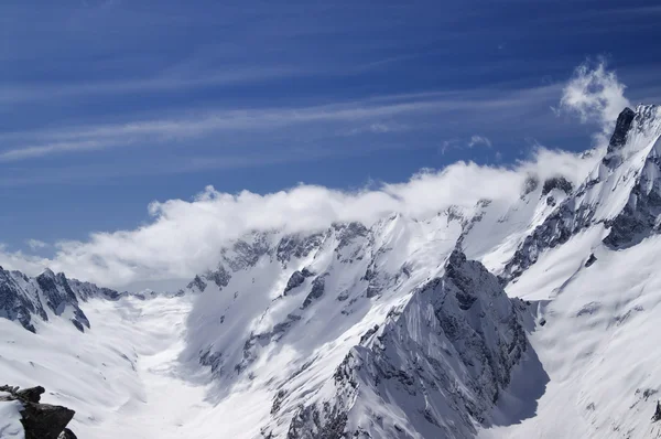 Les montagnes du Caucase. Alpinia. — Photo