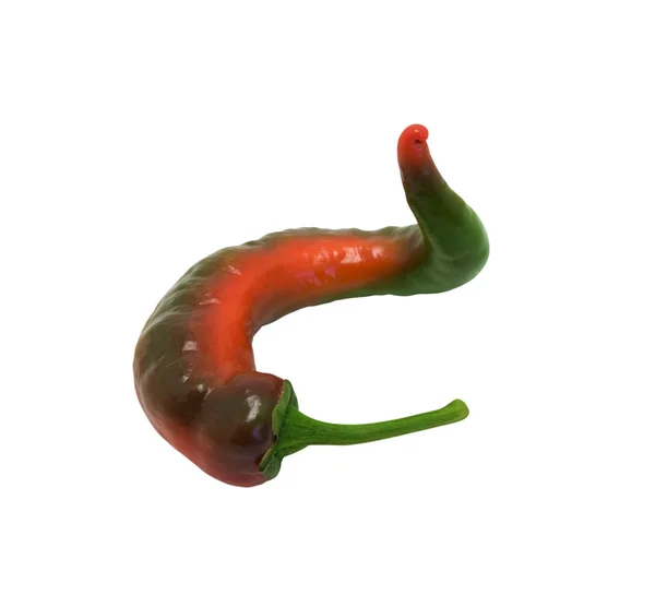 Twisted pepper — 스톡 사진